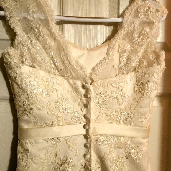 Champagne Wedding Dress - Picture 4 of 9